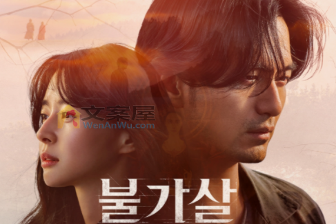 韩剧《不可杀11》影评 解说素材 观后感