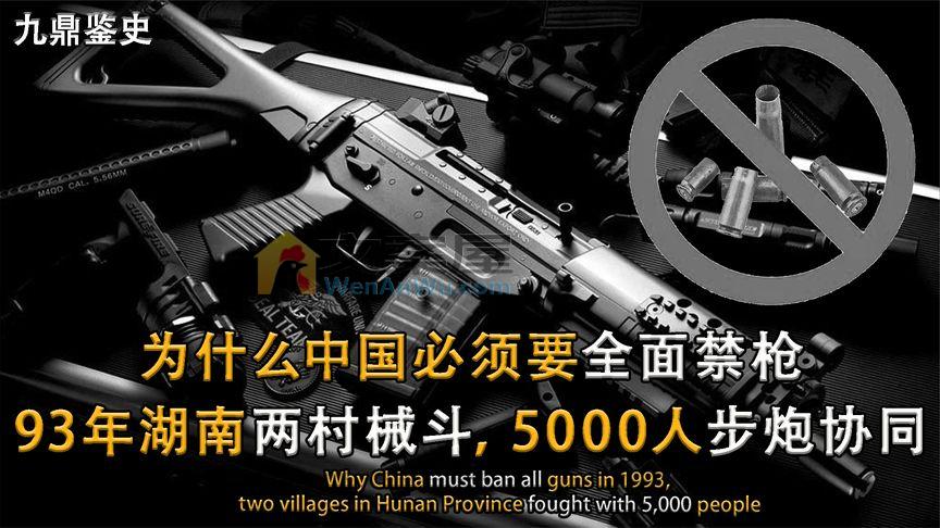 为什么中国必须要全面禁枪，93年湖南两村械斗，5000人步炮协同