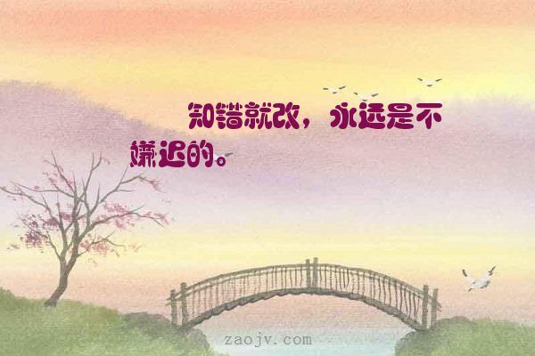 知错为何不改