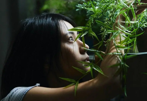 悬疑电影《叔叔》解说文案