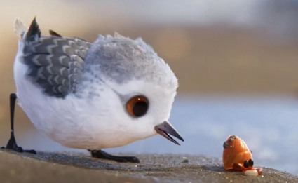 动画电影《鹬》解说文案