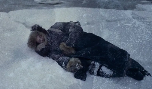 战争电影《极地重生》解说文案