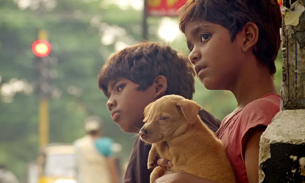 喜剧电影《乌鸦蛋》解说文案