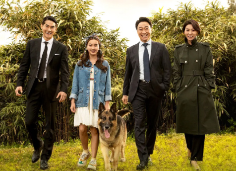 《动物园先生》电影解说文案