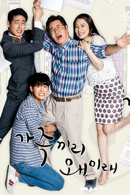 《家族之间何必这样》电视剧解说文案