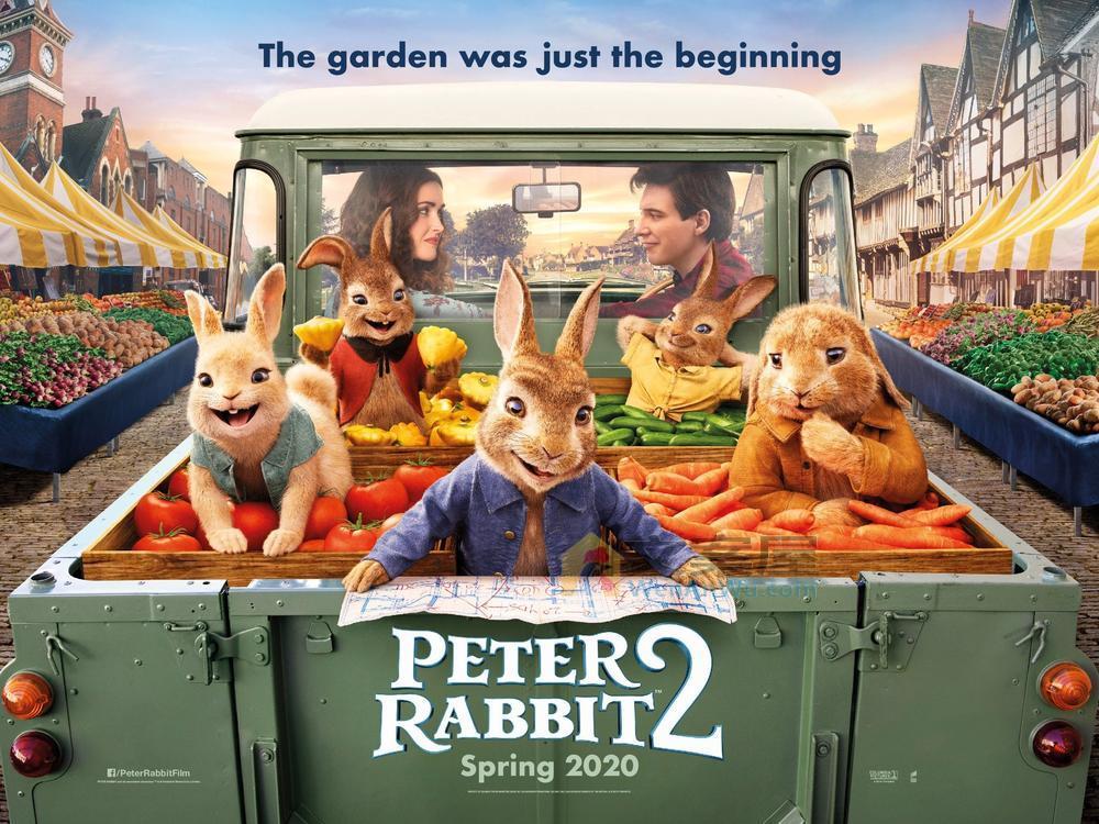 《彼得兔2：逃跑计划》电影解说文案