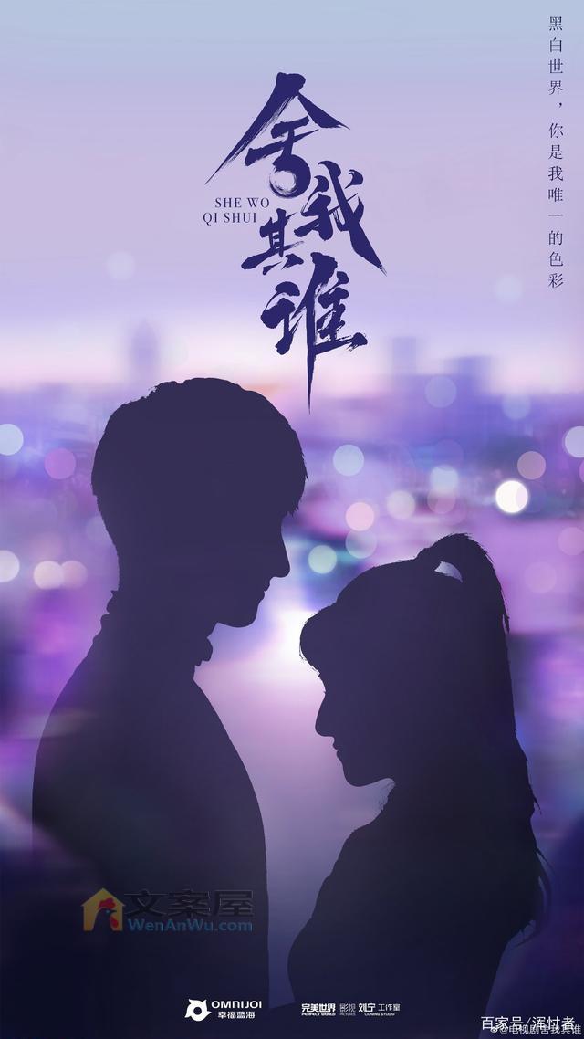 《舍我其谁》分集剧情文案