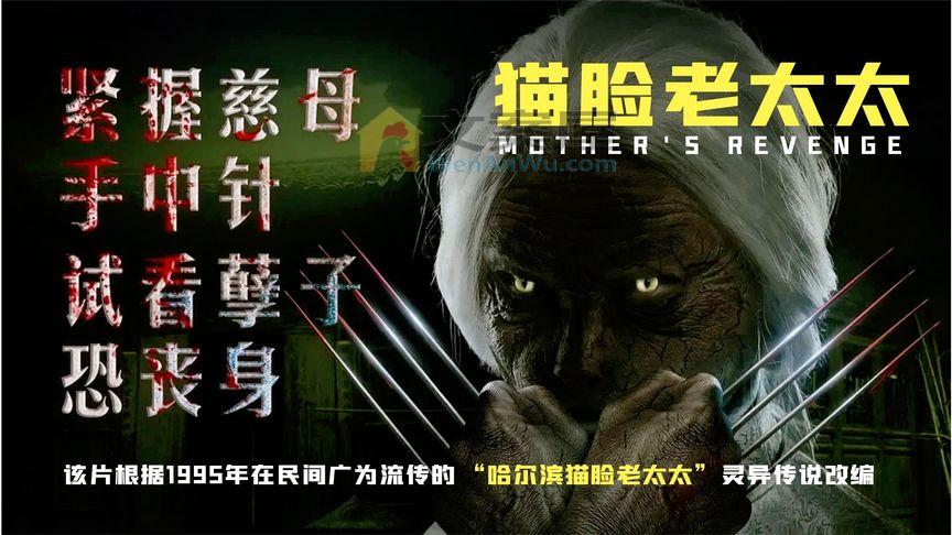 《猫脸老太太》_不孝子女，将母亲遗弃街头冻死，死后怨气不散化身《猫脸老太太》