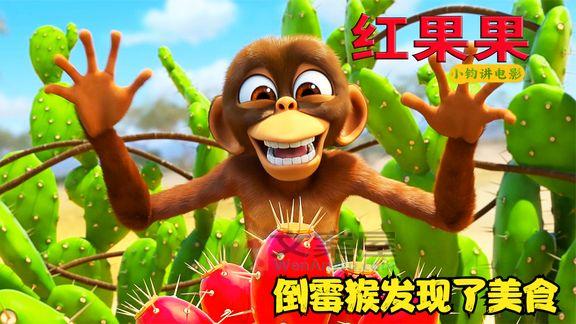 推荐《红果果红果果》_倒霉猴发现了美味的仙人掌果，搞笑动画《红果果》
