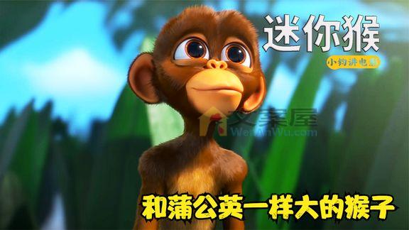 最新《迷你猴迷你猴》_你见过这么小的猴子吗？它和蒲公英一样大，搞笑动画《迷你猴》