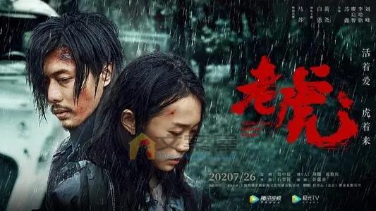 《老虎》电影解说文案