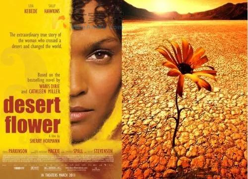 《沙漠之花》电影解说文案