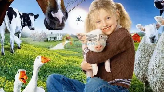 《夏洛特的网》电影解说文案