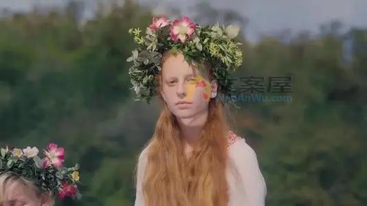 《仲夏夜惊魂》电影解说文案