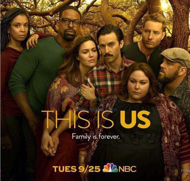 《我们这一天第二季》电视剧解说文案