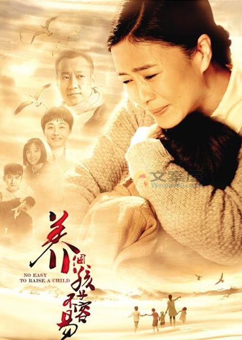 《养个孩子不容易》电视剧解说文案