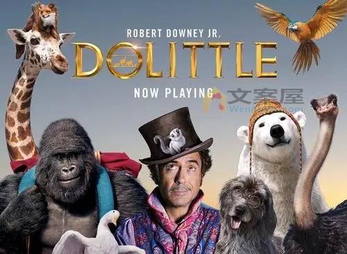 《多利特的奇幻冒险》电影解说文案