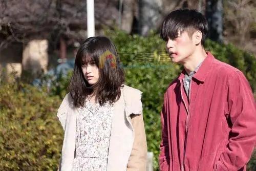 《初恋》电影解说文案