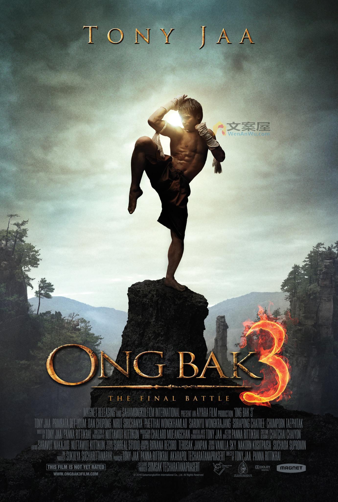 《拳霸3》电影解说文案