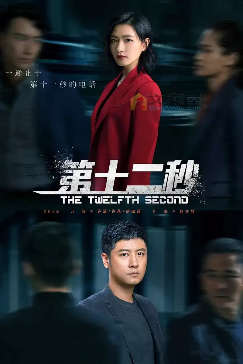 《第十二秒》分集剧情文案-2021-万茜/万茜/任重/窦若兮[更新至第 37 集]