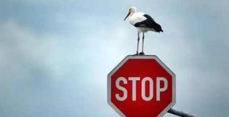 《暂停》电影解说文案