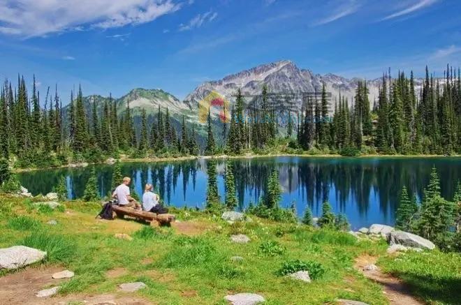 《斯托克山》电影解说文案