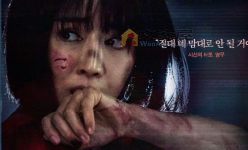 犯罪电影《监视》影评 解说素材 观后感