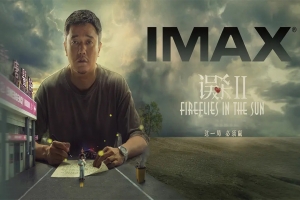 犯罪电影《误杀2》解说文案/片源下载