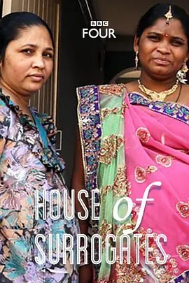 《代孕者》电影解说文案