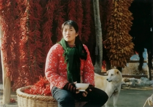 剧情电影《秋菊打官司》解说文案/片源下载