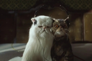 喜剧电影《猫狗大战》解说文案/片源下载