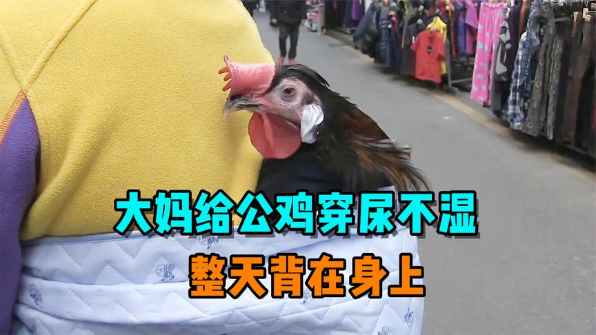 《丧尸医院》百年不遇的白色燕子，连眼睫毛都是白色的，见着有喜