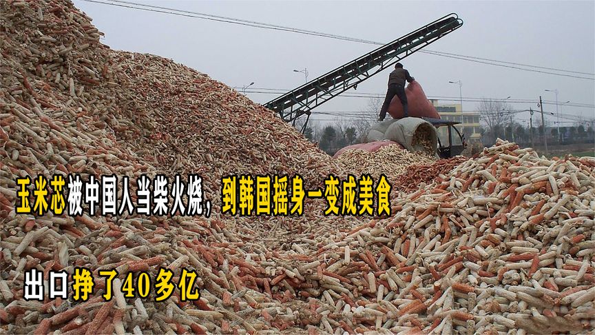 玉米芯被中国人当柴火烧，到韩国摇身一变成美食，出口挣了40多亿