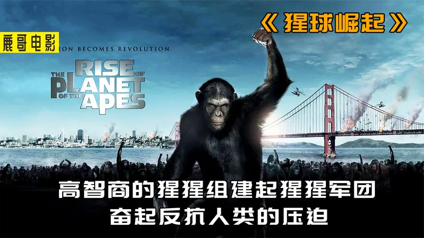 《卡门线》高智商的猩猩组建起猩猩军团，奋起反抗人类的压迫
