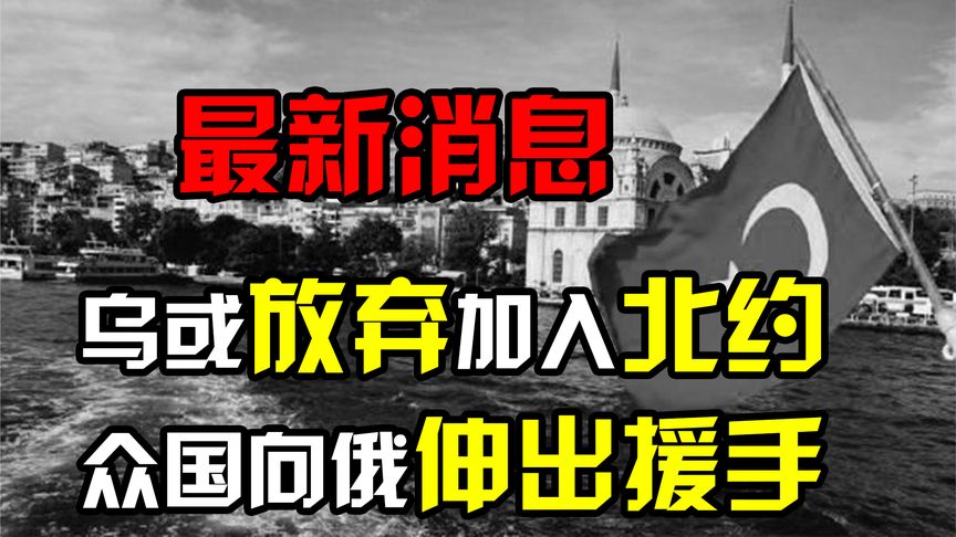 乌或放弃加入北约，印度土耳其向俄伸出援手，美国可能要失望了！