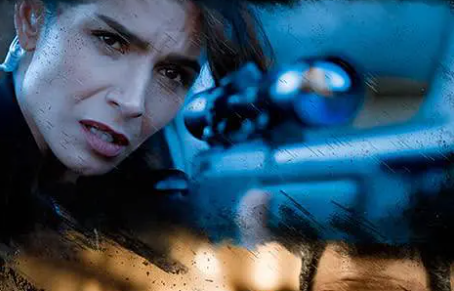 动作片《屠夫之子2》影评_解说素材_观后感