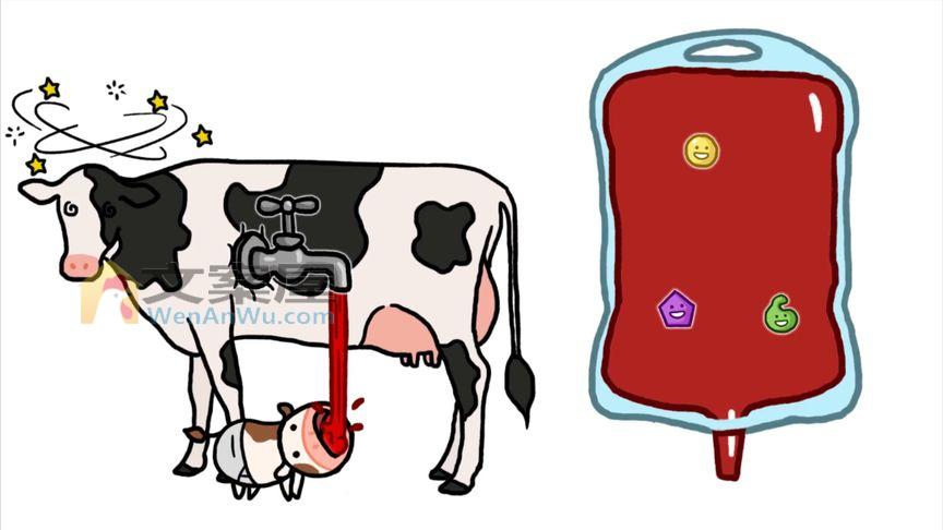 科普动画：我们每天喝的牛奶，只不过是“过滤后”的“血”