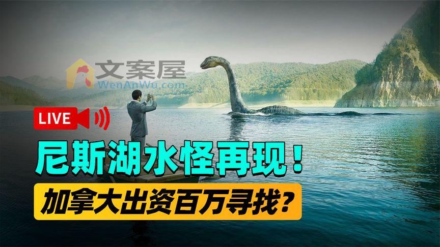 加拿大惊现巨型水怪，身长20米神似蟒蛇，游客亲眼目睹险些丧命！