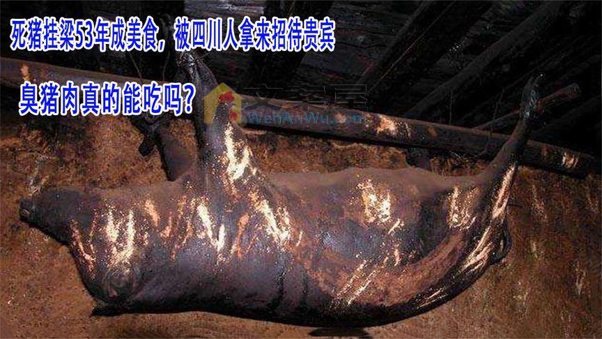 死猪挂梁53年成美食，被四川人拿来招待贵宾，臭猪肉真的能吃吗？