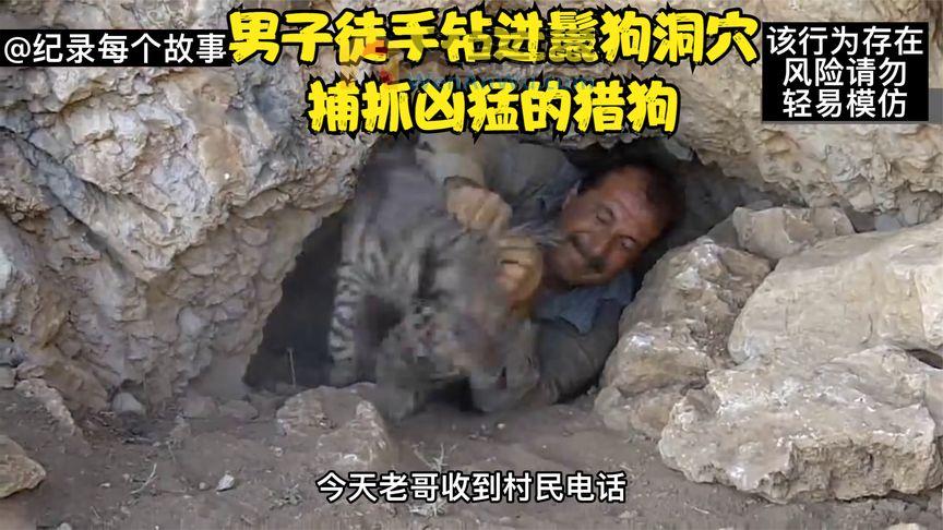 鬣狗偷吃村民家禽，被男人赤手空拳爬进洞穴里把它抓出来驯化表演