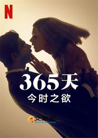 《365天：今时之欲》电影解说文案