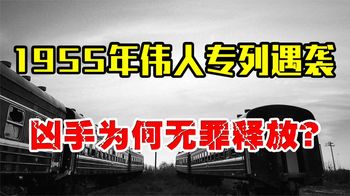 1955年伟人专列遇袭，抓获“凶手”后，为何伟人亲自替他求情？