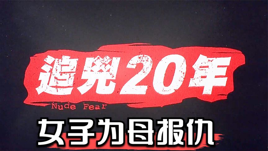 《追凶二十年》女子为母报仇，追凶20年，经典港式悬疑惊悚电影《追凶二十年》