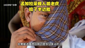 孟加拉采蜂人每年一百多人命丧虎口，幸运的捡回命却没了半边脸