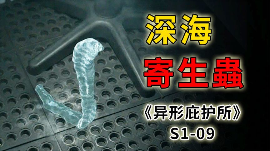 《异形庇护所》百慕大三角惊现可怕寄生虫，控制宿主自相残杀《异形庇护所》