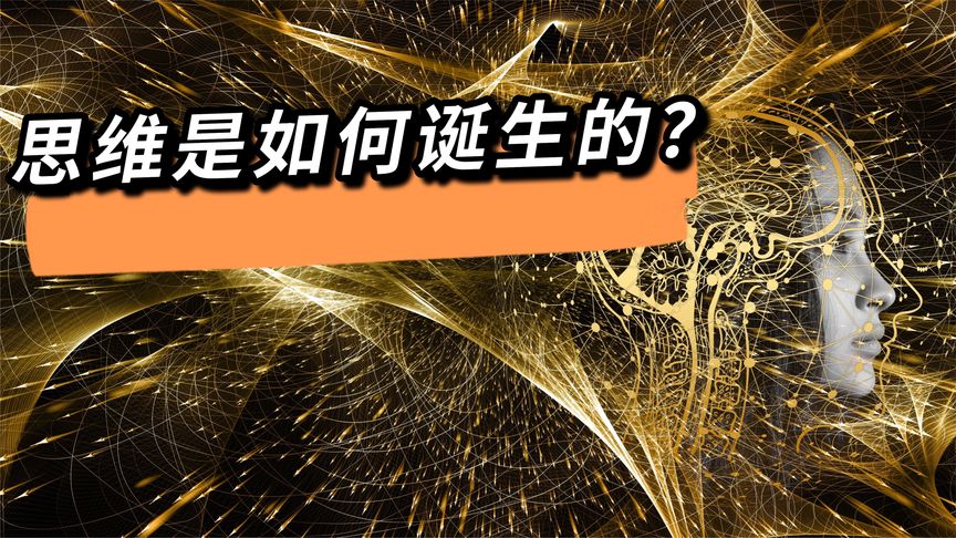 思维是如何诞生的，量子纠缠与灵魂
