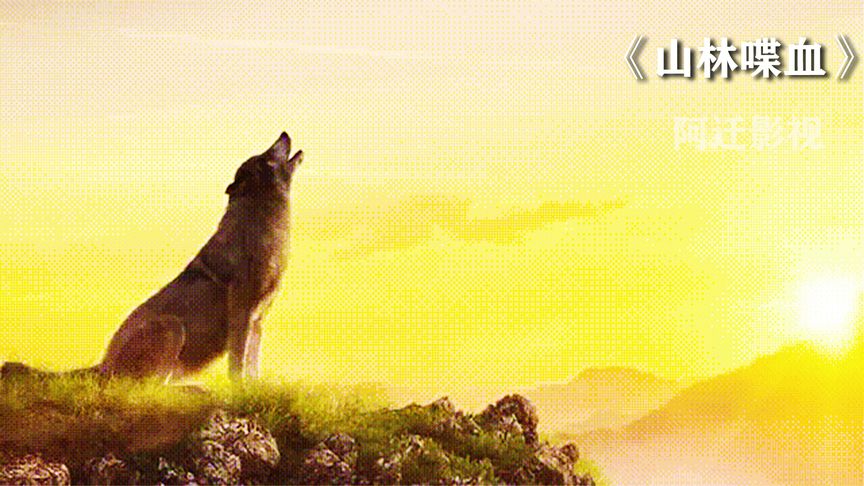 《山林喋血》电影《山林喋血》《剑影喋血》