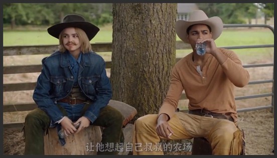 《灰姑娘的故事》《灰姑娘的故事：明星之恋》现实版的灰姑娘，被继母和姐姐欺压，爱情片《灰姑娘的故事》《