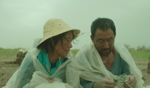 剧情片《隐入尘烟》影评_解说素材_观后感