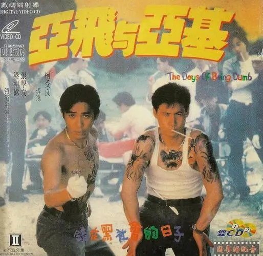 《亚飞和亚基》电影解说文案